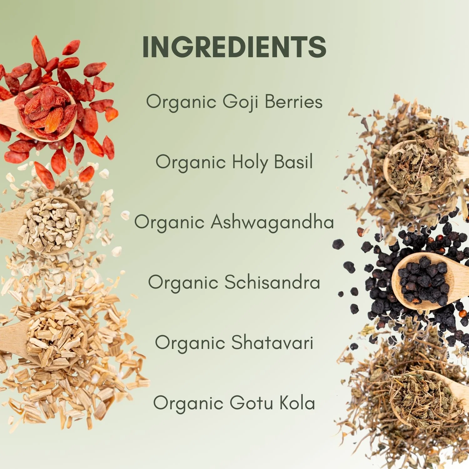 Organic Adaptogen Tea - Image 3