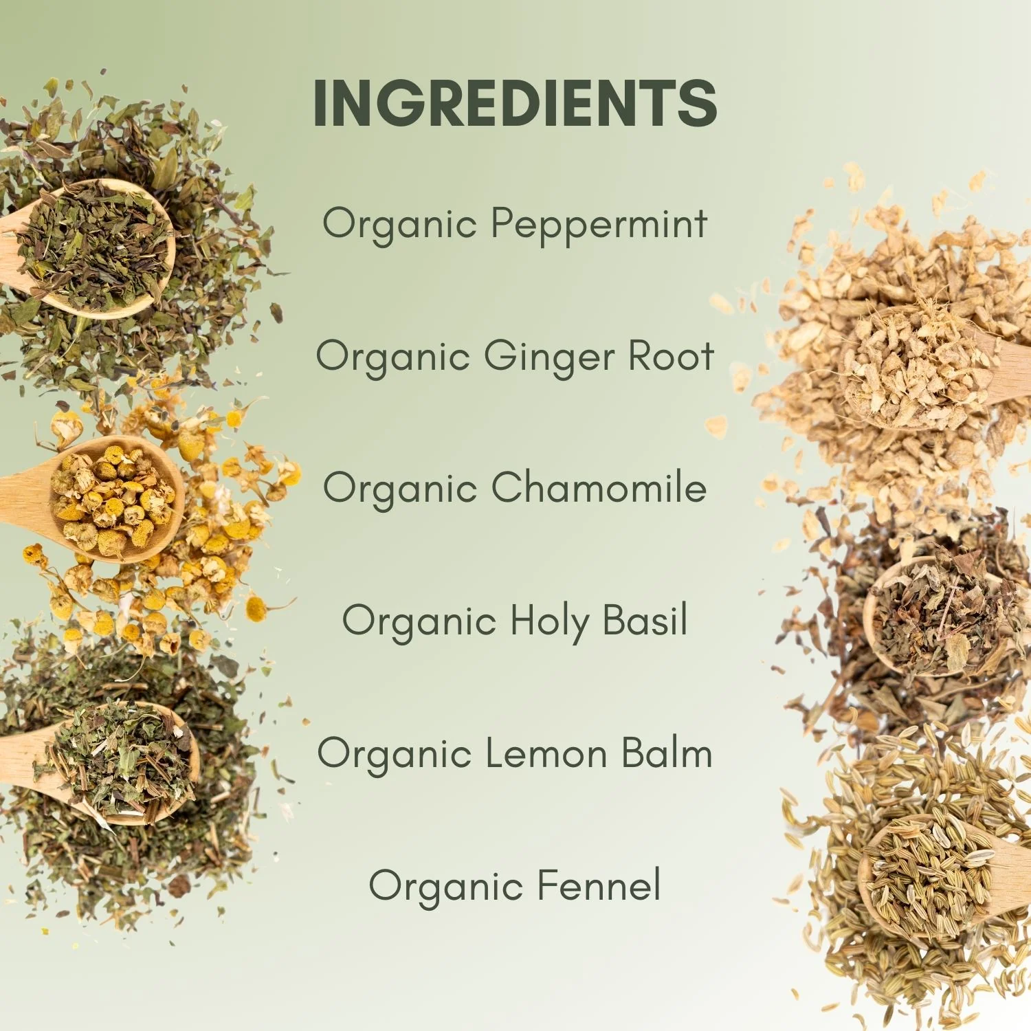 Organic Bloat Relief Tea - Image 3
