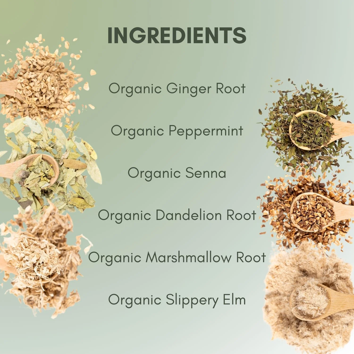 Organic Constipation Relief Tea - Image 3