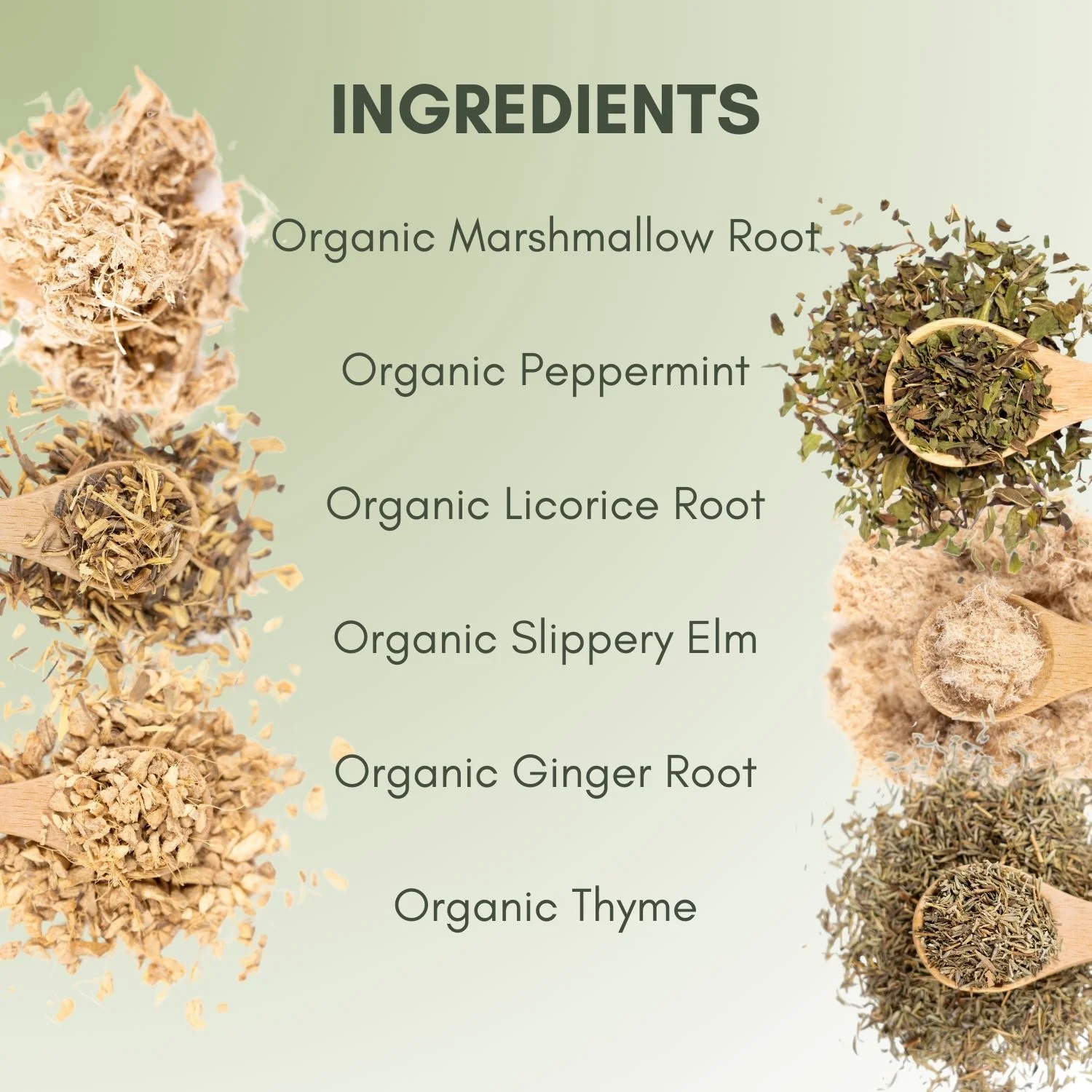 Organic Cough Relief Tea - Image 3