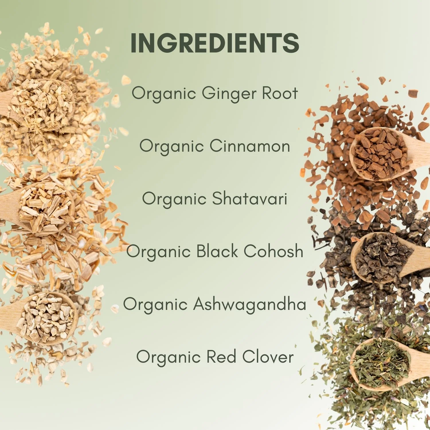 Organic Fertility Tea - Image 3