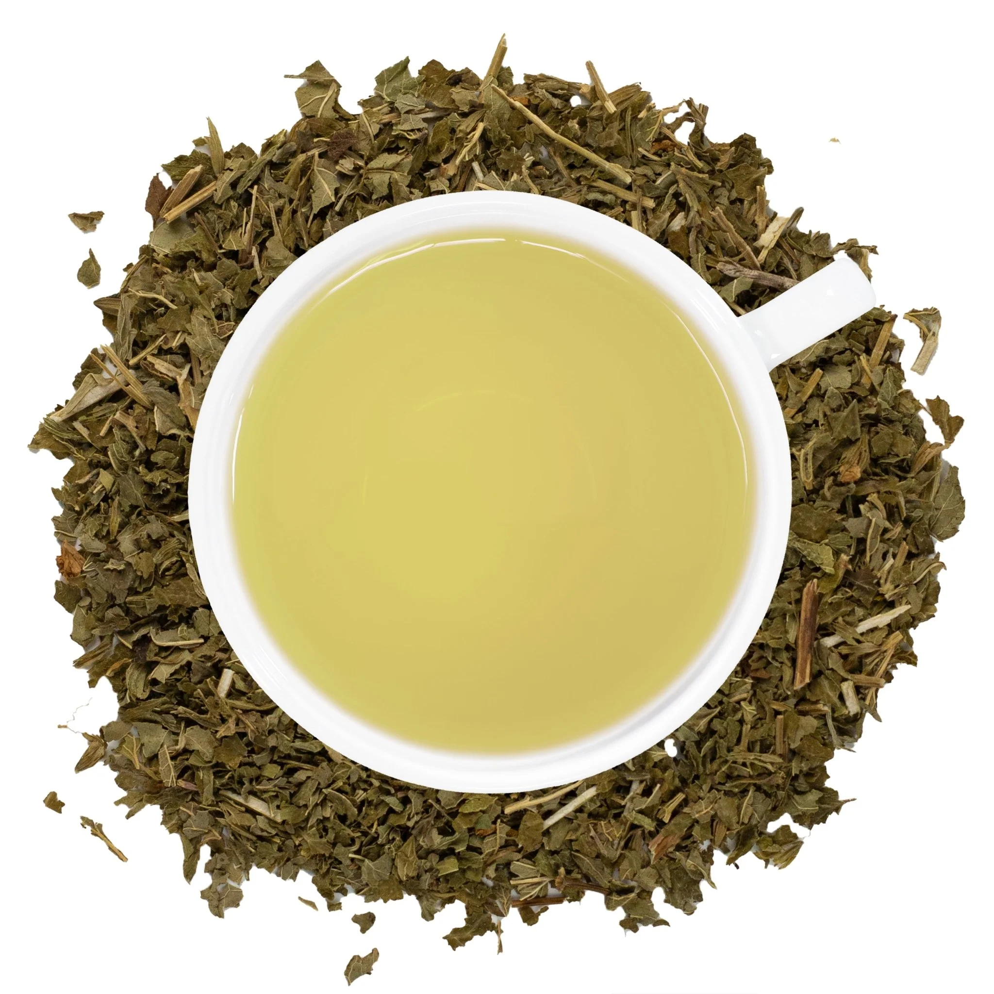 Organic Lemon Balm