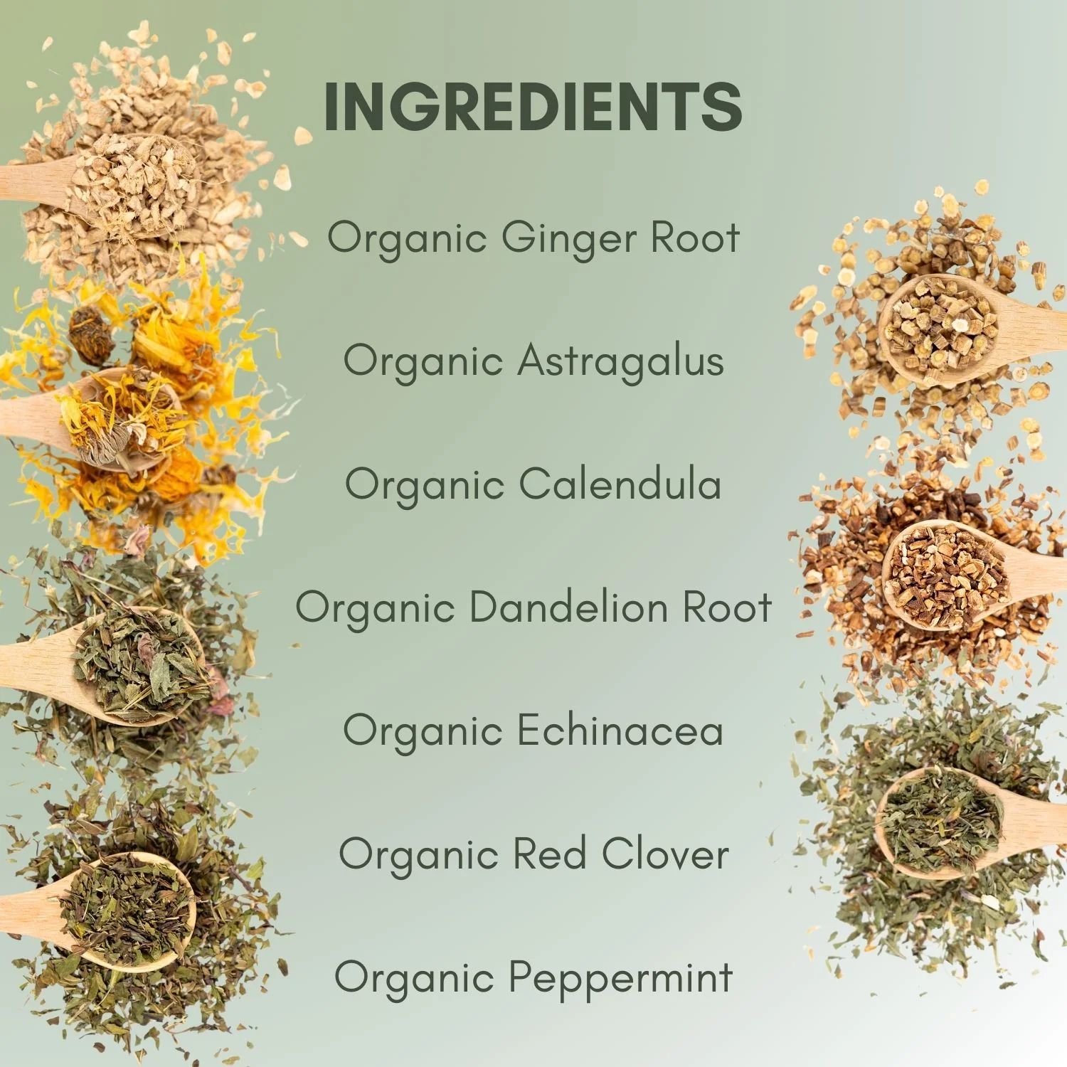 Organic Lymphatic Cleanse - Image 3