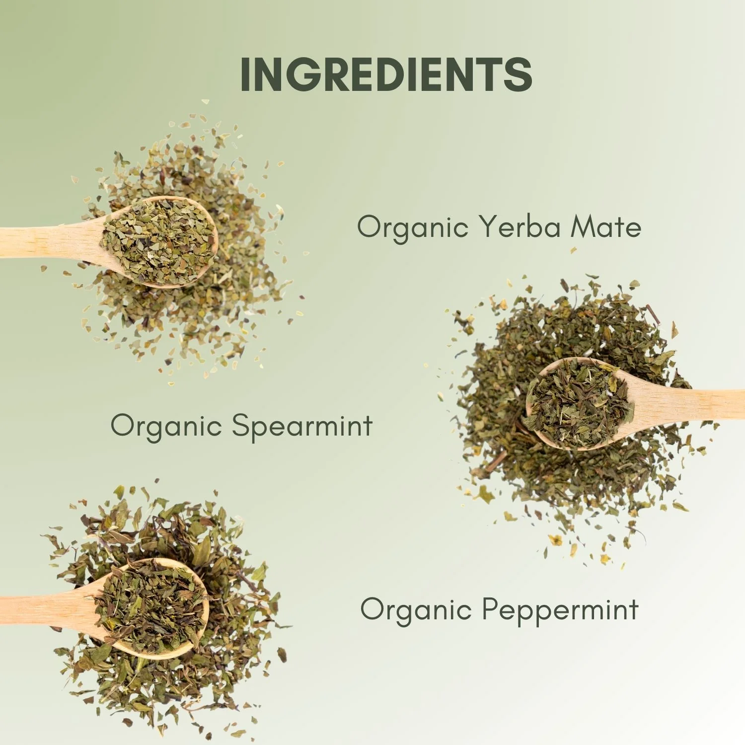 Organic Mint Mate - Image 3
