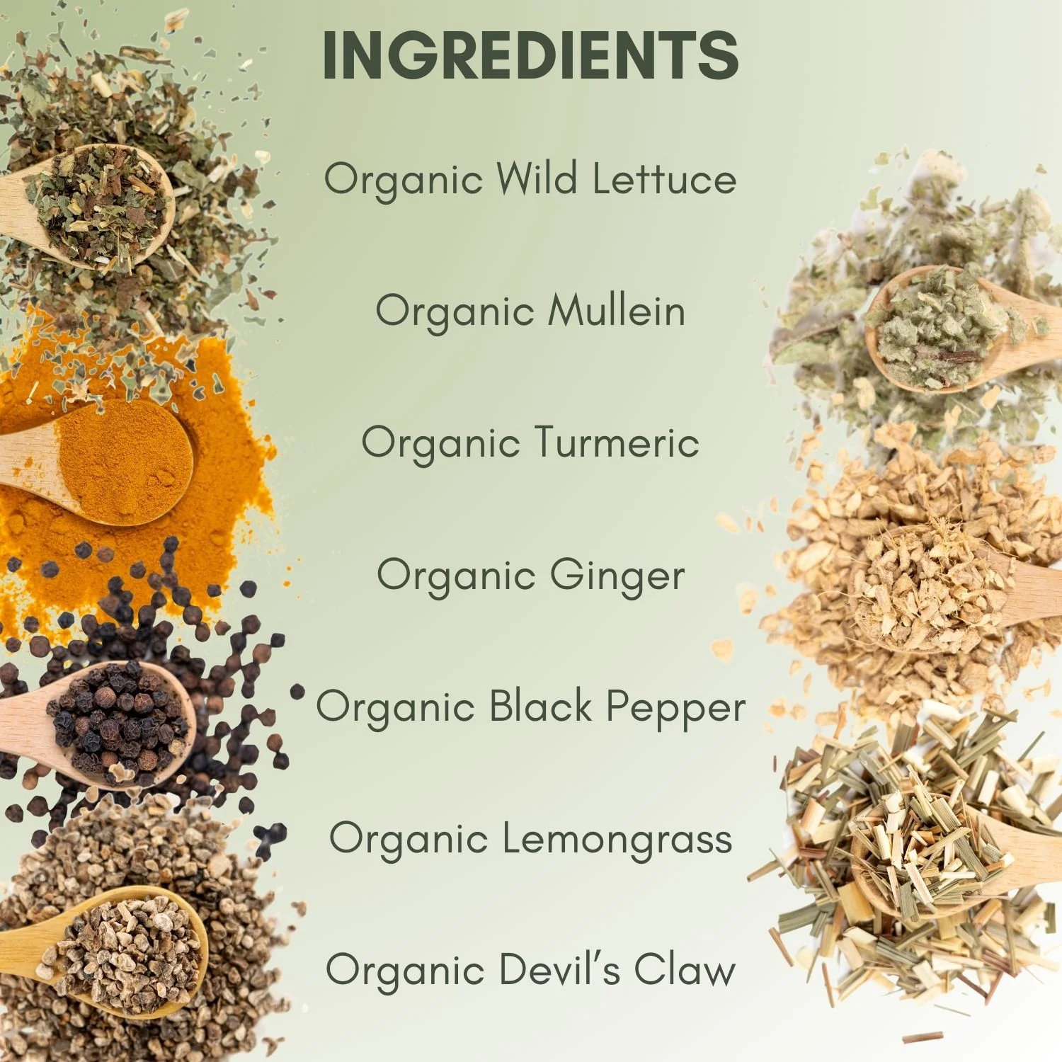 Organic Pain Relief Tea - Image 3