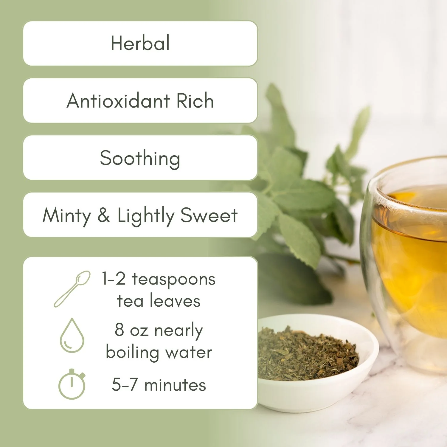 Organic Spearmint - Image 2