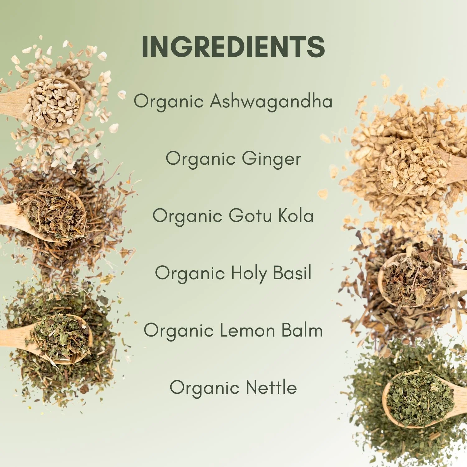 Organic Thyroid Health Tea - Image 3